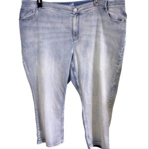 Plus Size (26) J. Jill Cropped Jeans